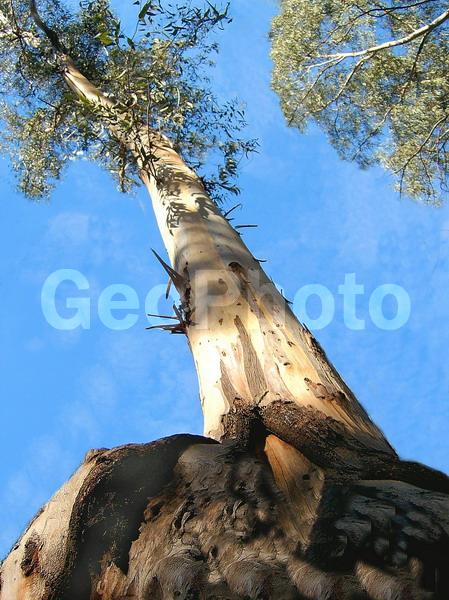 �����, �����, �����, �������, ������, ������, ������, ����, �������, �����, �����