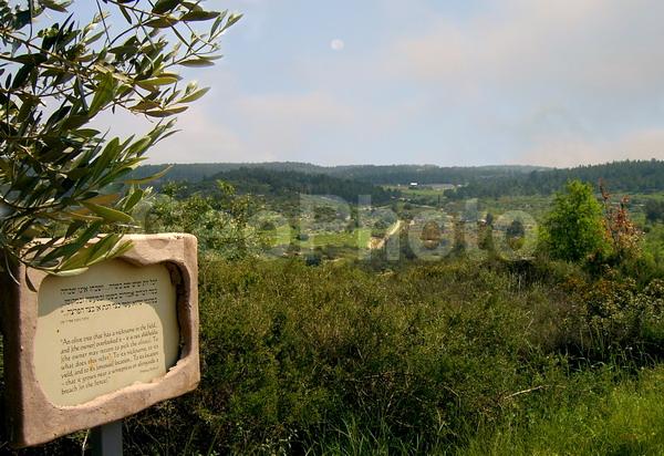 �����, �������, ������, �������, ����, �����, ����, ����, ��������, �������, ����, �����