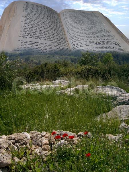 �����, �������, ��������, �����, �������, �������, ��������