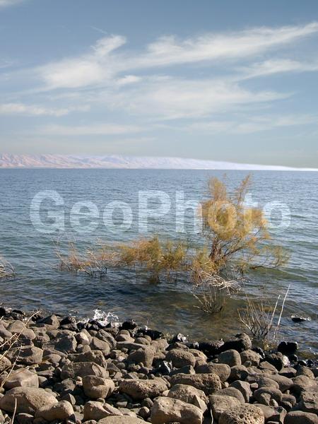 �������, �������, ����, �����, �����, ����, ������, ������, �����, �����������, �������, ����