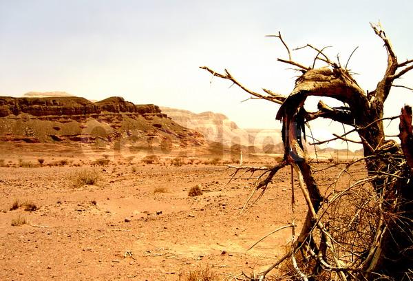 �������, ��������, ������, ���������, ������, �������, ���������, �����, �������, �����, ���������, ����