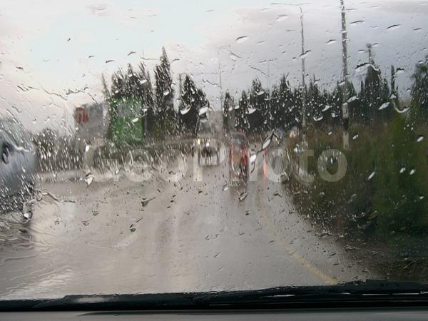 ��������, ����, �����, ������, �����, ���������, ������, ������