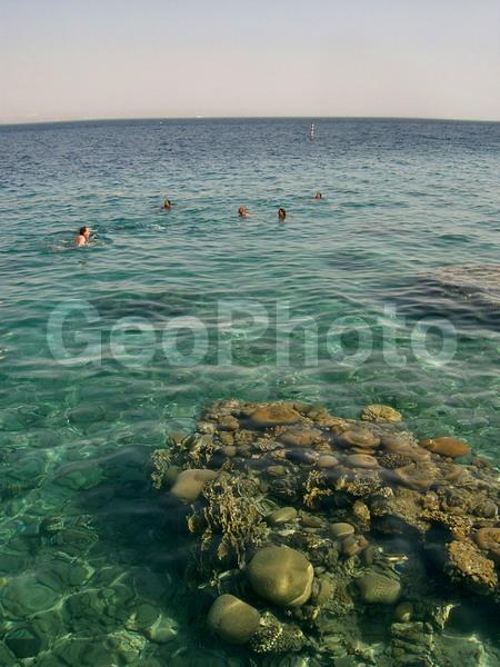 �������, �������, ����, ������, ����, ����, ���������, �������