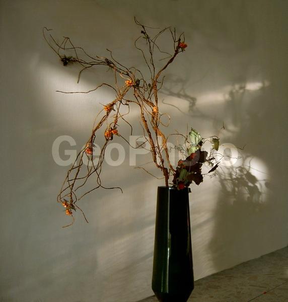 �����, ����, ��������, ����, ����, ����, �����