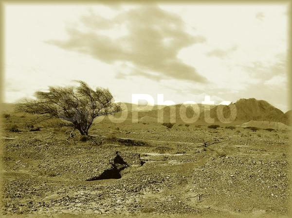 �������, ��������, �����, ������, �����, ���������, �������, �������, �����