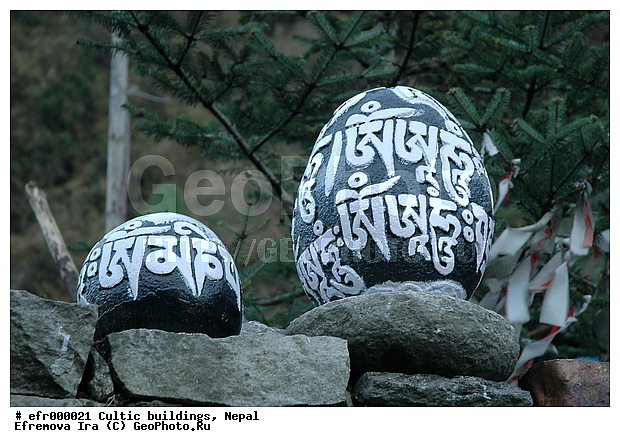 ����, �����, �����������, �������, ���������, �����, ���������, ����