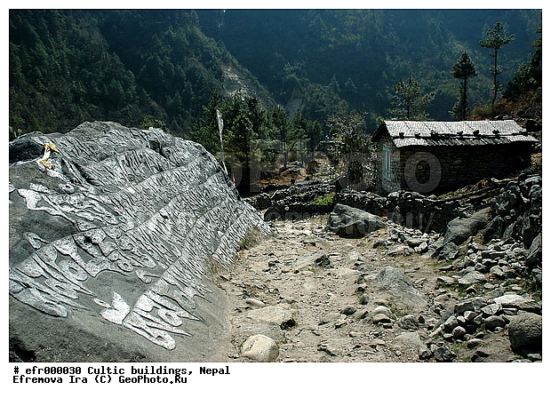 ����, �����, �����������, �������, ���������, �����, ���������, ����