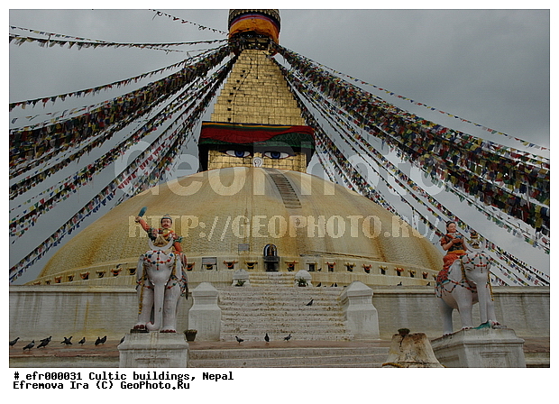 ����, �����, �����������, �������, ���������, �����, ���������, ����