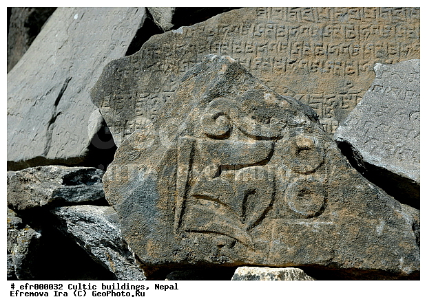 ����, �����, �����������, �������, ���������, �����, ���������, ����