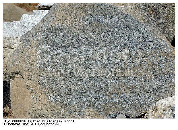 ����, �����, �����������, �������, ���������, �����, ���������, ����