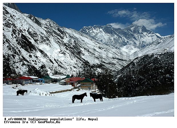 ����, �����, �������� ���������, ����, ������������, �������