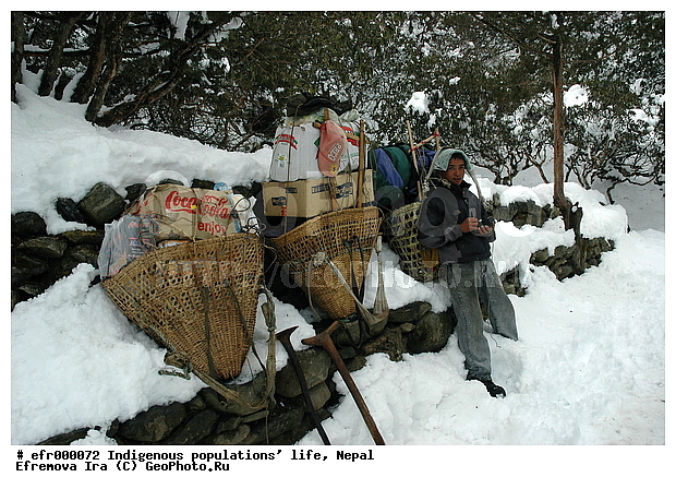 ����, �����, �������� ���������, ����, ������������, �������