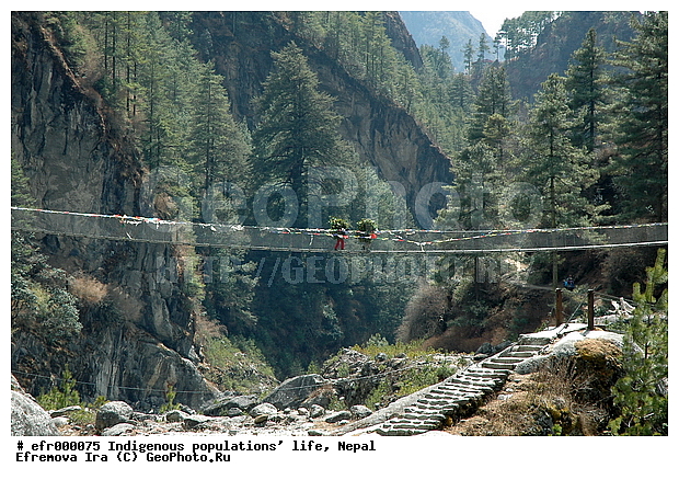 ����, �����, �������� ���������, ����, ������������, �������