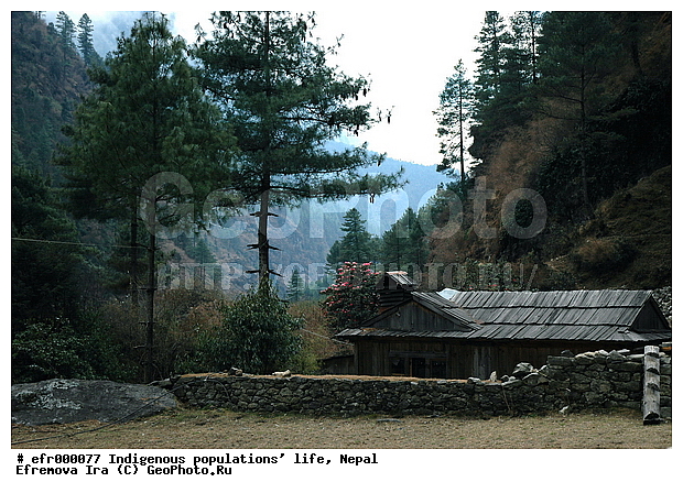 ����, �����, �������� ���������, ����, ������������, �������