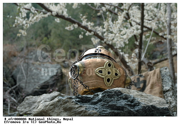 ����, �����, ��������