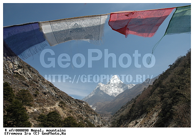 ����, �����, ������ ������, ����