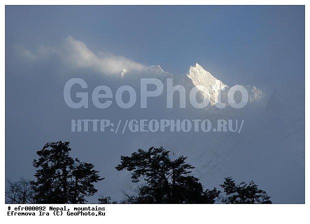 ����, �����, �����������, ������, ������ ������, ����, ���, ����, ������