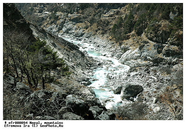 ����, �����, ������ ������, ����