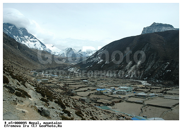 ����, �����, ������ ������, ����