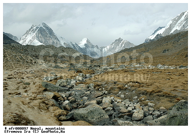 ����, �����, ������ ������, ����