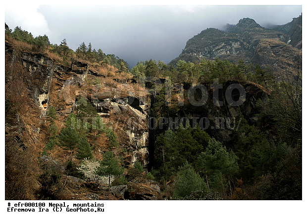 ����, �����, ������ ������, ����