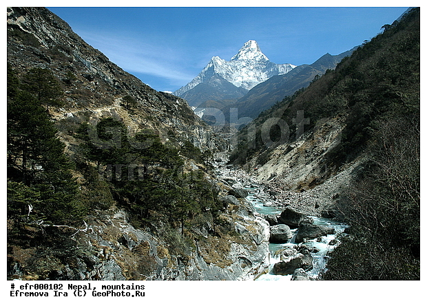 ����, �����, ������ ������, ����