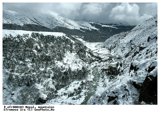 ����, �����, ������ ������, ����