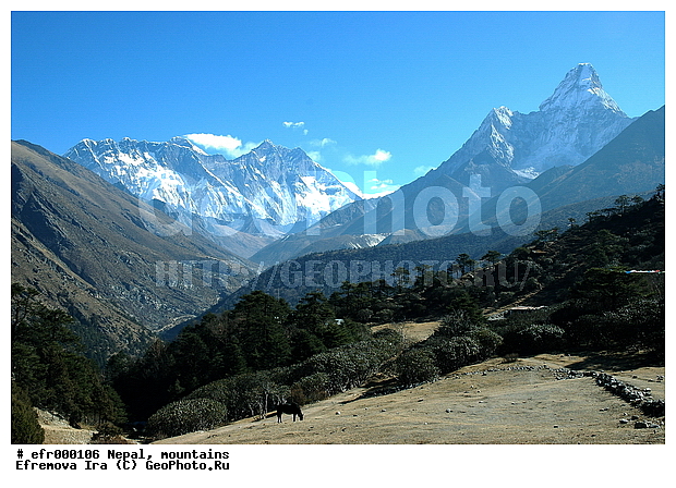 ����, �����, ������ ������, ����