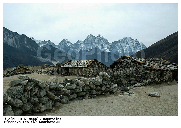 ����, �����, ������ ������, ����