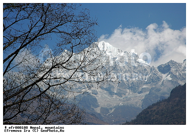 ����, �����, ������ ������, ����