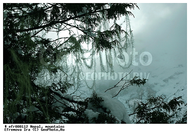 ����, �����, ������ ������, ����