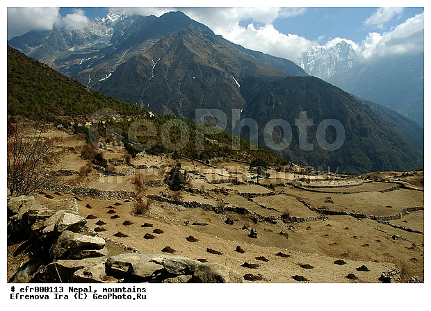 ����, �����, ������ ������, ����