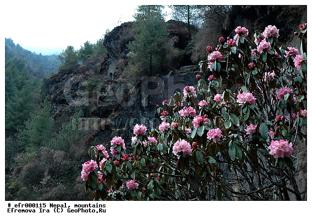 ����, �����, ������ ������, ����