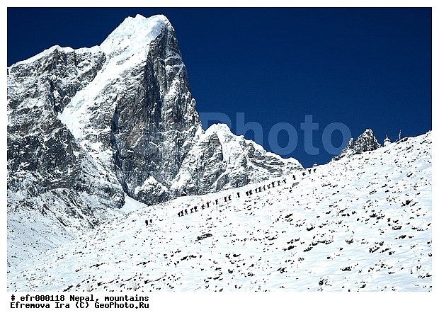 ����, �����, ������ ������, ����