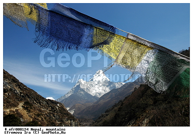 ����, �����, ������ ������, ����