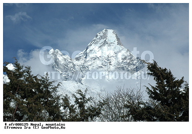 ����, �����, ������ ������, ����