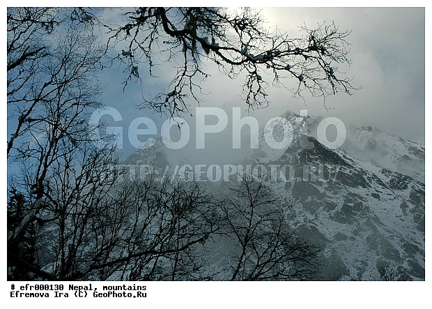 ����, �����, ������ ������, ����