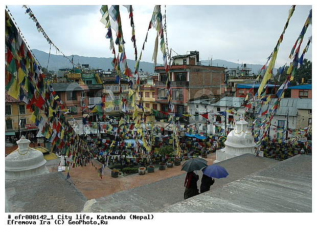 ��������, �����, �����, ����� ������, �������