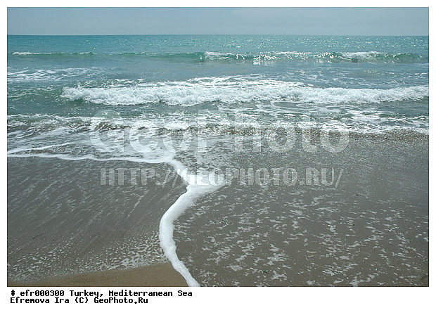 ����������� ����, ������, ������, ����, �����