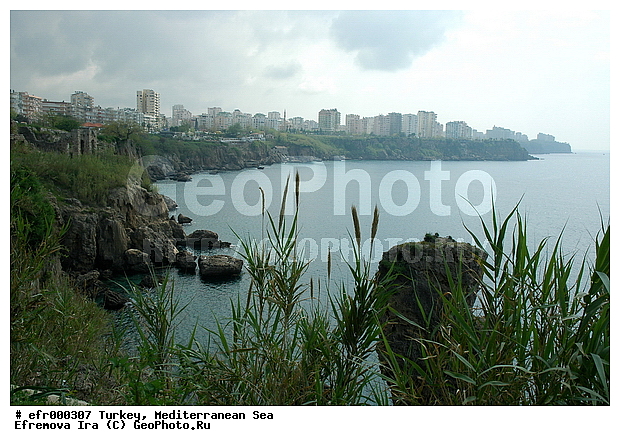 ����������� ����, ������, ������, ����, �����