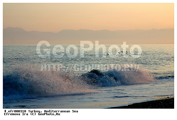 ����������� ����, ������, ������, ����, �����