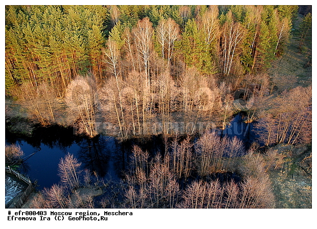 ������, �����������, ��� ������, �����, ���, �������, �������, �����, �����