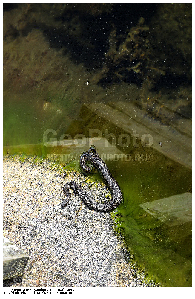 ������, ����������, ���������, �����, �������, ���������, ����, ����, ������, ���� �� �����, ������ ����