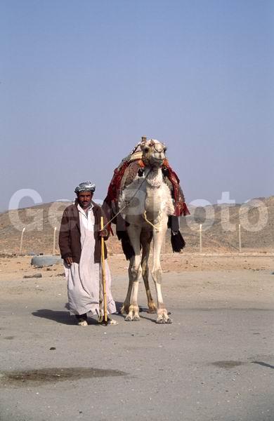 ����, ������� ������, ������, ����, ������� ����, ������, ���