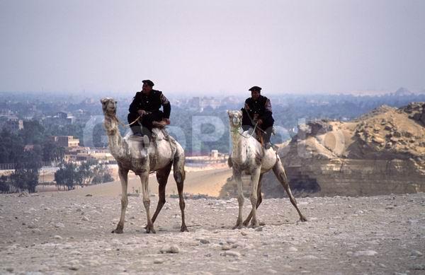 ����, ������� ������, ������, ���, �������������