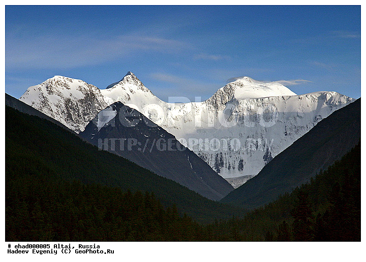 �����, �������� ������, ������