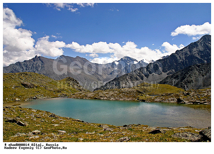 �����, �������� ������, ������