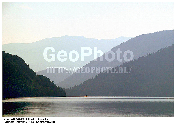 �����, �������� ������, ������