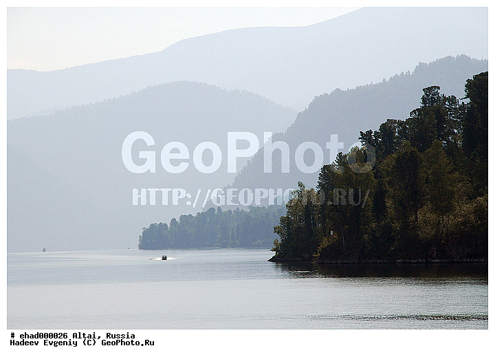 �����, �������� ������, ������