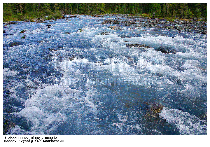 �����, �������� ������, ������